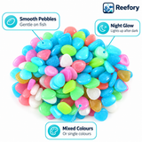 Glow-in-the-Dark Pebbles - image 3
