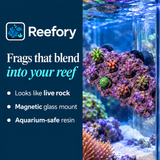 Magnetic Reef Frag Rock - image 4
