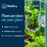 Acrylic Plant Cup - image 4