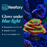 Glow Spiral Coral - image 4