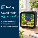 Mini Betta Cube Tank - image 4