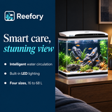 Smart Desktop Aquarium Kit - image 4