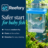 Floating Breeding Box - image 4