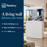 Partition Wall Aquarium - image 4