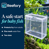 Mesh Breeder Box - image 4