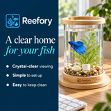 Rotating Betta Bowl - image 4