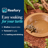 Turtle Bath Basin - image 4
