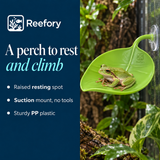Suction Cup Resting Leaf - image 4
