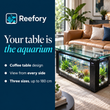 Coffee Table Aquarium - image 4