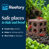 Ceramic Shrimp Shelter - image 4