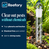 Planaria & Leech Trap - image 4