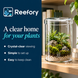 Glass Cylinder Jar - image 4