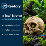 Resin Skull Hideout - image 4