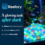 Glow-in-the-Dark Pebbles - image 4