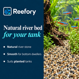 Natural River Pebbles - image 4