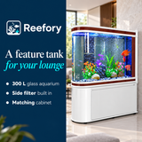Arched Glass Aquarium - image 4