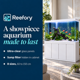 Ultra-Clear Aquarium Set - image 4