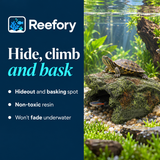 Turtle Rock Hide - image 4