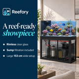 Rimless Marine Aquarium - image 4