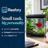 Mini Desktop Betta Tank - image 4