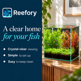 Glass Cube Aquarium - image 4