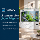 Curved Floor Aquarium - image 4