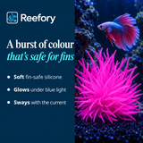 Silicone Sea Anemone - image 4