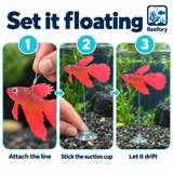 Silicone Betta Ornament - image 5