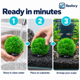 Artificial Grass Ball - image 5