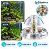 Snail Trap - image 5