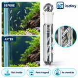 Planaria & Leech Trap - image 5