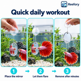Betta Exercise Mirror - image 5