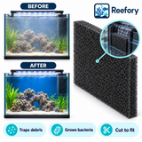 Black Foam Filter Sponge - image 5