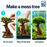 Moss Tree Driftwood - image 5