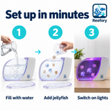 Jellyfish Desktop Tank - image 5