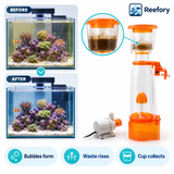 Red Starfish Mini Skimmer - image 5