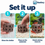 Ceramic Shrimp Shelter - image 5