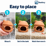 Ceramic Shrimp Pot - image 5