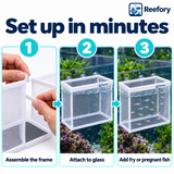Mesh Breeder Box - image 5