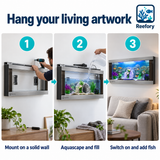 Wall-Mounted Glass Aquarium - image 5