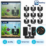 Double Sponge Filter 10-Pack - image 5