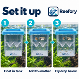 Floating Breeding Box - image 5
