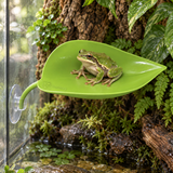 Suction Cup Resting Leaf - image 6