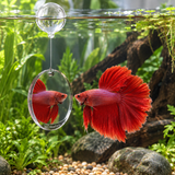 Betta Exercise Mirror - image 6