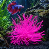 Silicone Sea Anemone - image 6