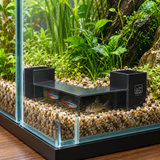 Aquarium Viewing Tunnel - image 6