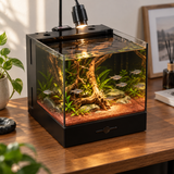 Yee Back-Filter Aquarium - image 6
