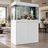 Partition Wall Aquarium - image 6