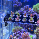 Acrylic Coral Frag Rack - image 6
