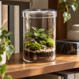 Glass Cylinder Jar - image 6